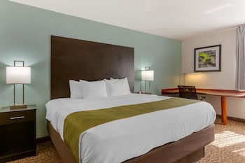Standard Room, 1 King Bed, Non Smoking