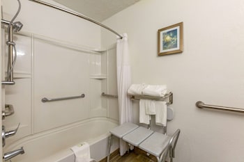 Room, 1 King Bed, Accessible, Non Smoking (Roll-In Shower)