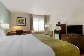 Standard Room, 1 King Bed, Non Smoking