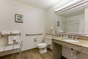 Room, 1 King Bed, Accessible, Non Smoking (Roll-In Shower)