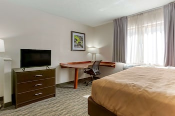 Room, 1 King Bed, Accessible, Non Smoking (Roll-In Shower)