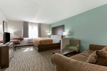 Room, 1 King Bed, Accessible, Non Smoking (Roll-In Shower)