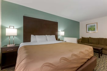 Room, 1 King Bed, Accessible, Non Smoking (Roll-In Shower)