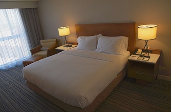 Room, 1 King Bed, Accessible, Bathtub
