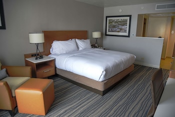 Room, 1 King Bed