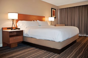 Room, 1 King Bed