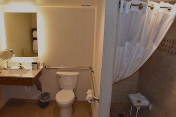 Room, 1 King Bed, Accessible (Mobility & Hearing, Roll-in Shower)