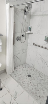 Standard Room, 1 Queen Bed, Accessible, Refrigerator & Microwave (Walk-in Shower)