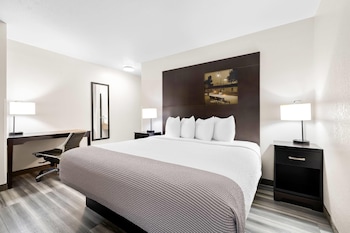 Deluxe Studio Suite, 1 King Bed, Non Smoking (1st Floor)