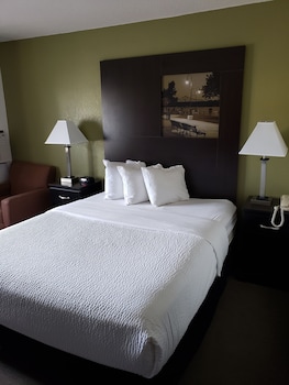 Room, 1 Queen Bed, Non Smoking