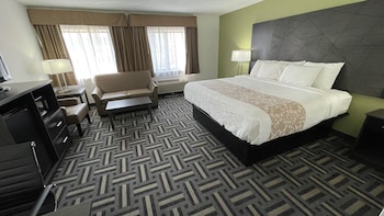 Room, 1 King Bed, Mobility Accessible, Non Smoking (Walk-in Shower)