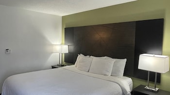 Room, 1 King Bed, Non Smoking
