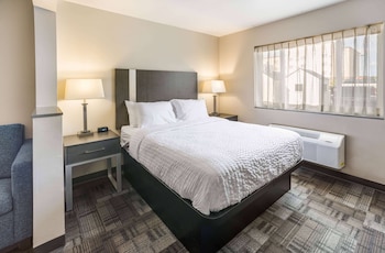 Room, 1 Queen Bed, Accessible, Non Smoking (Bathtub w/ Grab Bars)