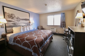 Room, 1 King Bed, Non Smoking