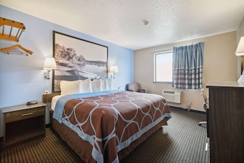 Room, 1 King Bed, Non Smoking