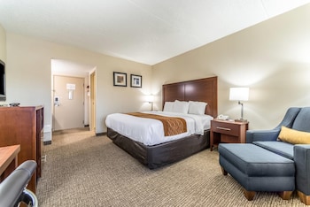 Standard Room, 1 King Bed, Non Smoking