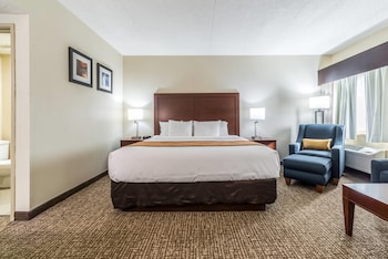 Suite, 1 King Bed with Sofa bed, Non Smoking