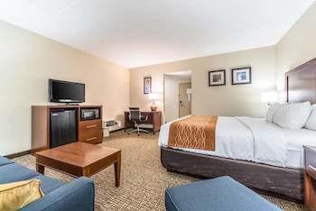 Suite, 1 King Bed with Sofa bed, Non Smoking