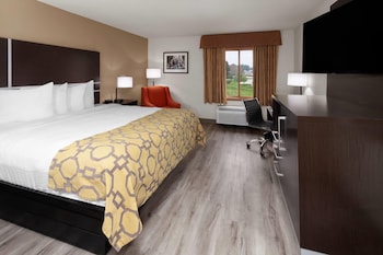 Room, 1 King Bed, Non Smoking (No Pets)