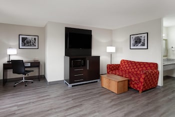 Suite, 1 King Bed, Non Smoking (No Pets)
