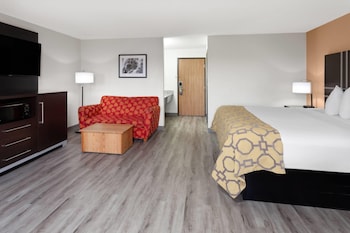 Suite, 1 King Bed, Non Smoking (No Pets)