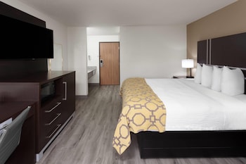 Room, 1 King Bed, Non Smoking (No Pets)