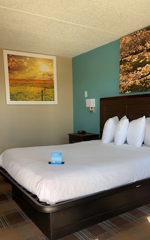Room, 1 Queen Bed, Accessible