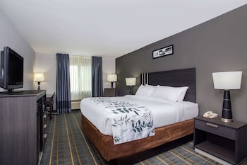 Standard Room, 1 King Bed