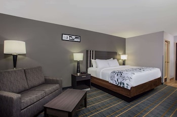 Deluxe Room, 1 King Bed, Non Smoking