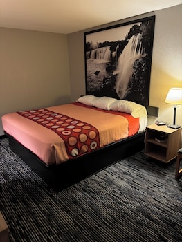 Room, 1 King Bed, Non Smoking