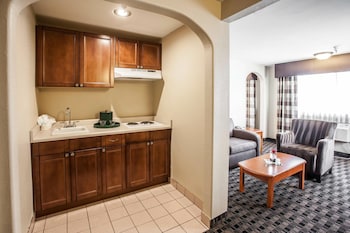 Suite, 1 King Bed with Sofa bed, Non Smoking