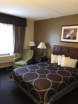 Room, 1 Queen Bed, Accessible, Non Smoking (Mobility Accessible)
