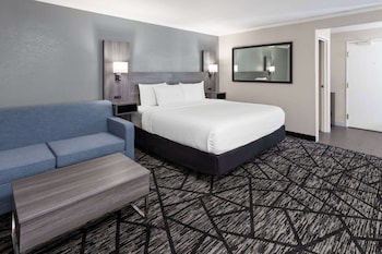 Suite, 1 King Bed