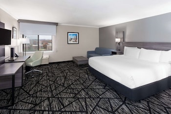 Suite, 1 King Bed