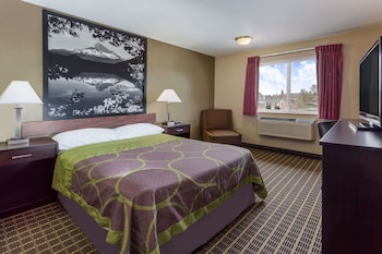 Room, 1 Queen Bed, Non Smoking