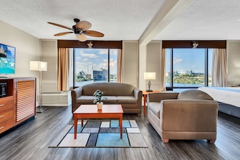 Suite, 1 King Bed, Non Smoking, Refrigerator & Microwave (with Sofabed)