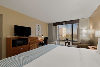 Standard Room, 1 King Bed, Non Smoking, Refrigerator & Microwave (View)