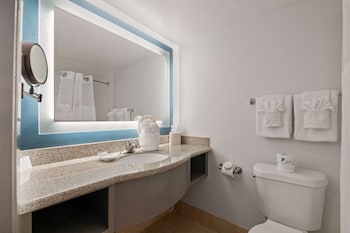 Suite, 1 King Bed, Non Smoking, Refrigerator & Microwave (with Sofabed)
