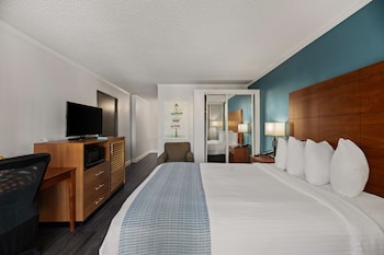 Standard Room, 1 Queen Bed, Accessible, Non Smoking (1st Floor)