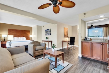 Suite, 1 King Bed, Non Smoking, Refrigerator & Microwave (with Sofabed)