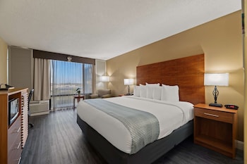 Standard Room, 1 King Bed, Non Smoking, Refrigerator & Microwave (View)