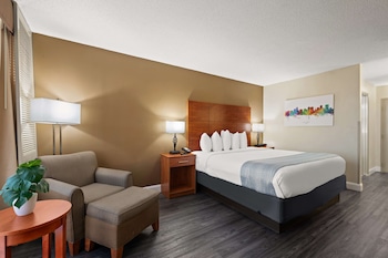 Standard Room, 1 King Bed, Non Smoking, Refrigerator & Microwave (View)