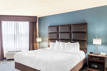 Suite, 1 King Bed, Non Smoking, Jetted Tub (with Sofabed)