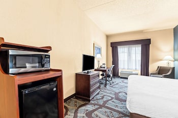 Standard Room, 1 King Bed, Accessible, Bathtub