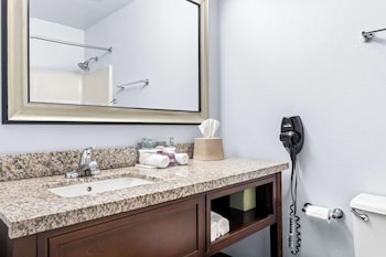 Suite, 1 King Bed, Non Smoking, Jetted Tub (with Sofabed)