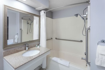 Suite, 1 Bedroom, Non Smoking (Mobility, Tub w/Grab Bars, Efficiency)