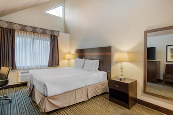 Standard Room, 1 King Bed, Non Smoking, Jetted Tub