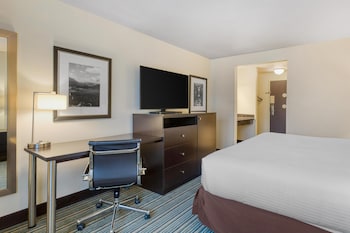 Standard Room, 1 King Bed, Accessible, Bathtub
