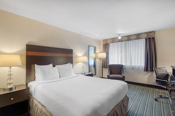Standard Room, 1 Queen Bed, Non Smoking