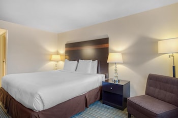 Standard Room, 1 King Bed, Accessible, Bathtub